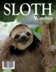 slothwatcher2
